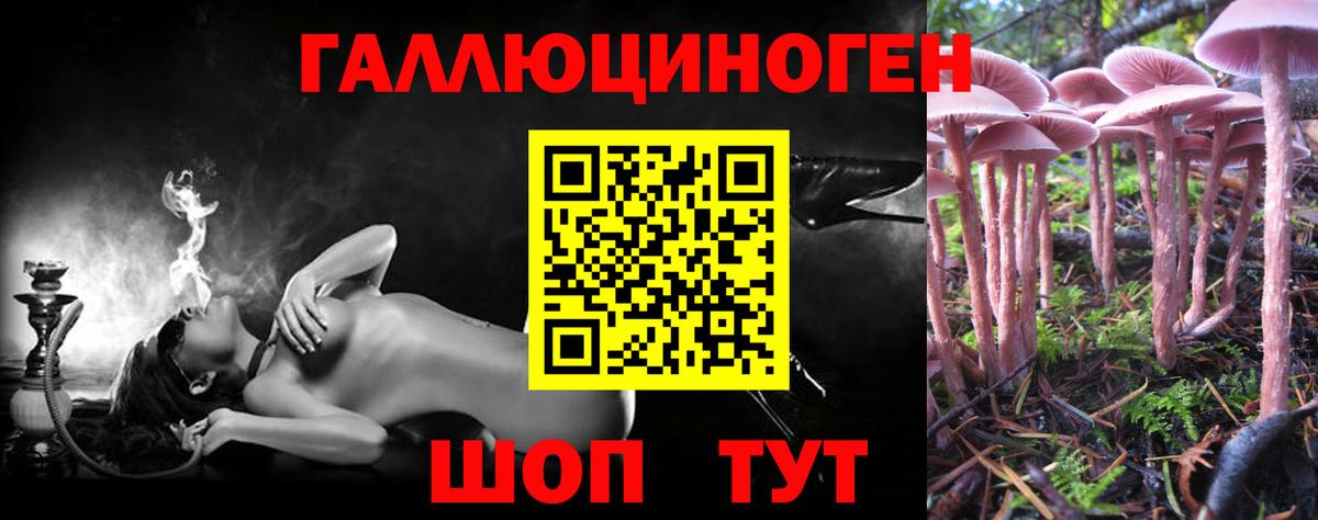 Псилоцибиновые грибы мухоморы  Вход с VPN  Малгобек  Псилоцибиновые грибы Magic Shrooms 
